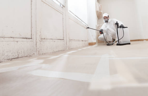 24/7 Emergency Mold Remediation experts in Sunbury, PA